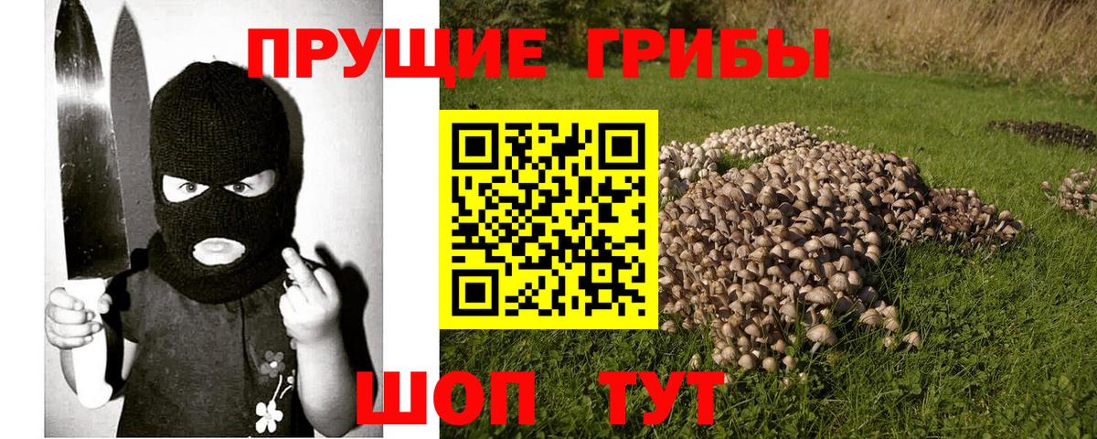 Галлюциногенные грибы прущие грибы Еманжелинск